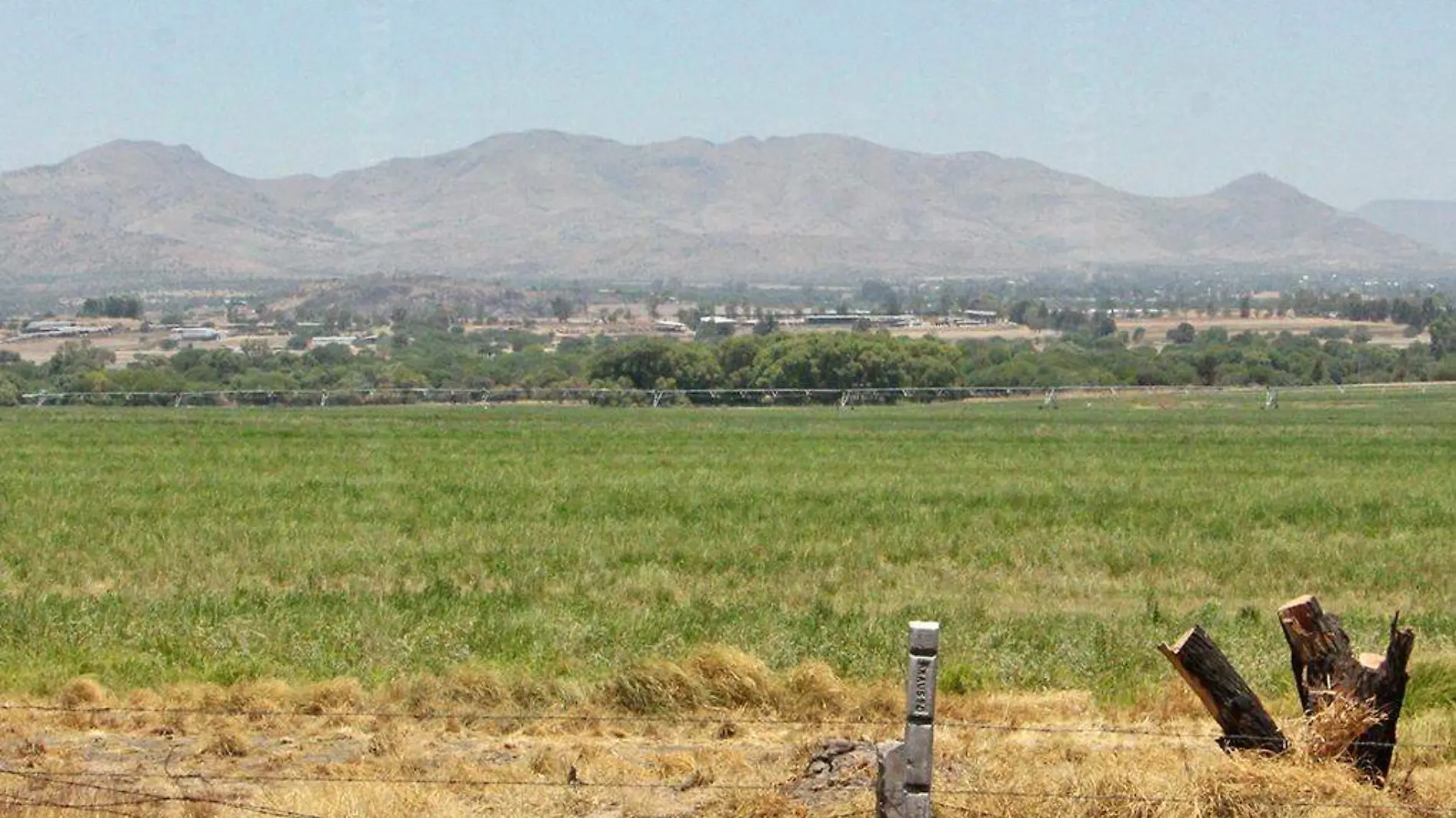 cerro del muerto campo